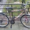 Velosipēds - Pārdod - Transports - Visa Latvija